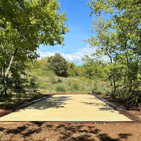 Bastide De Viens - Vue Luberon, Piscine Chauffee, Boulodrome Βίλα Εξωτερικό φωτογραφία